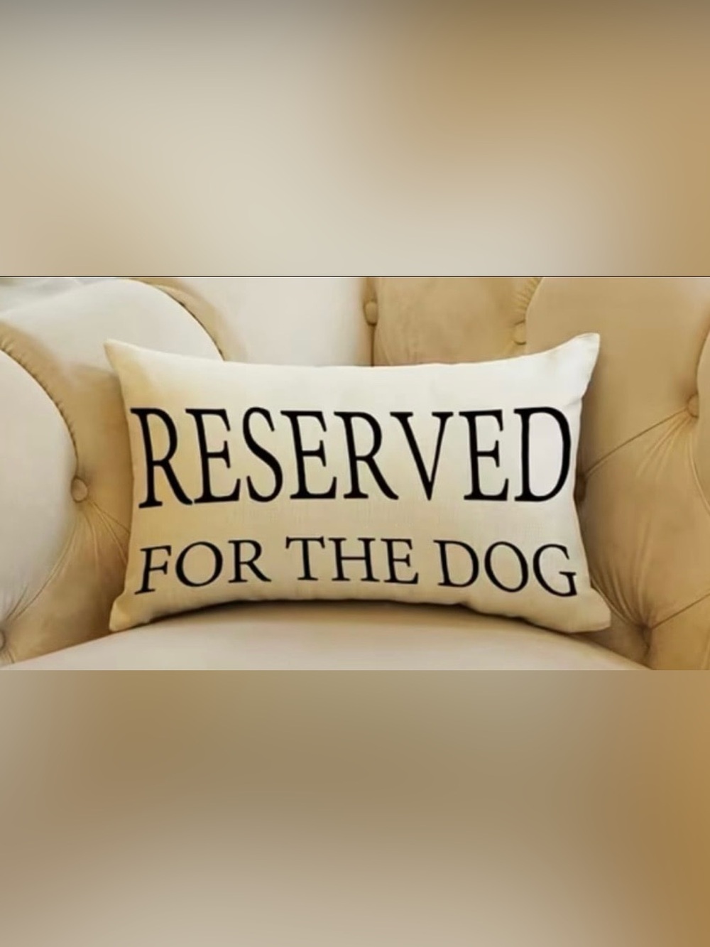 Reserved for the Dog Decorative Pillow - Cream with Black Text